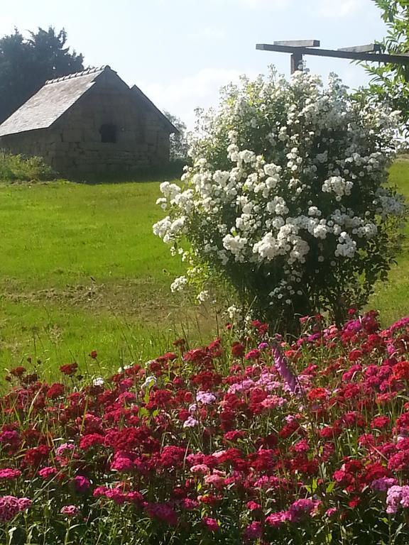 Bed and Breakfast Manoir De La Branche Maen Roch Zewnętrze zdjęcie