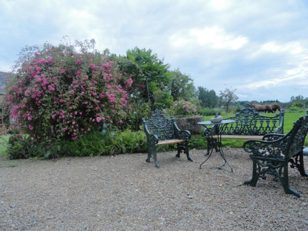Bed and Breakfast Manoir De La Branche Maen Roch Zewnętrze zdjęcie